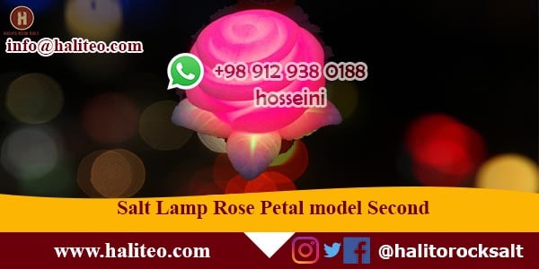 salt lamp rose