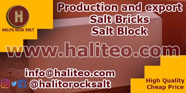 buy salt bricks