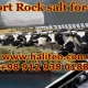 Buy rock salt livestock