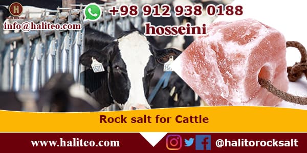 wholesale rock salt for sale