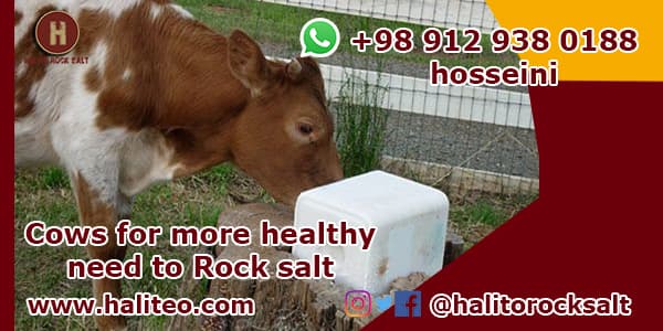 rock salt for cattle