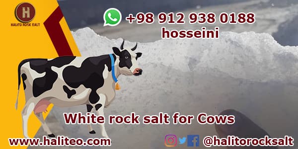 rock salt for cows