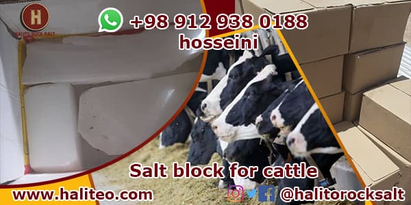 salt block manufacturer