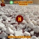 iran rock salt