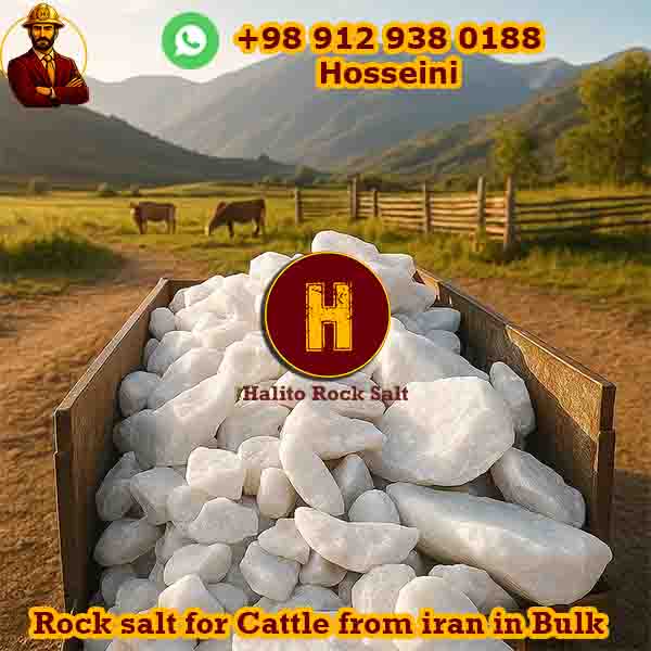 cattle-1 cattle rock salt