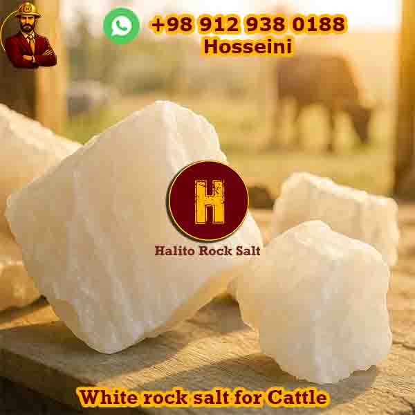 cattle-2 cattle rock salt