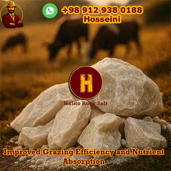 cattle-3 cattle rock salt