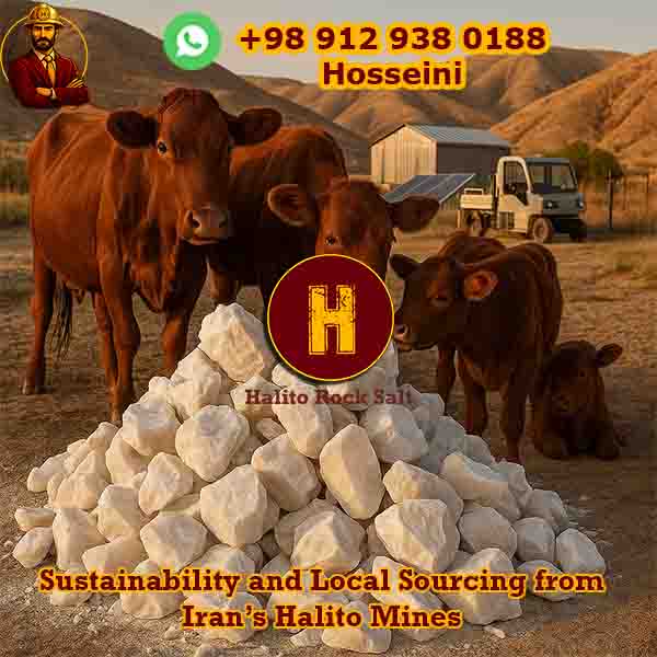 cattle-5 iran rock salt